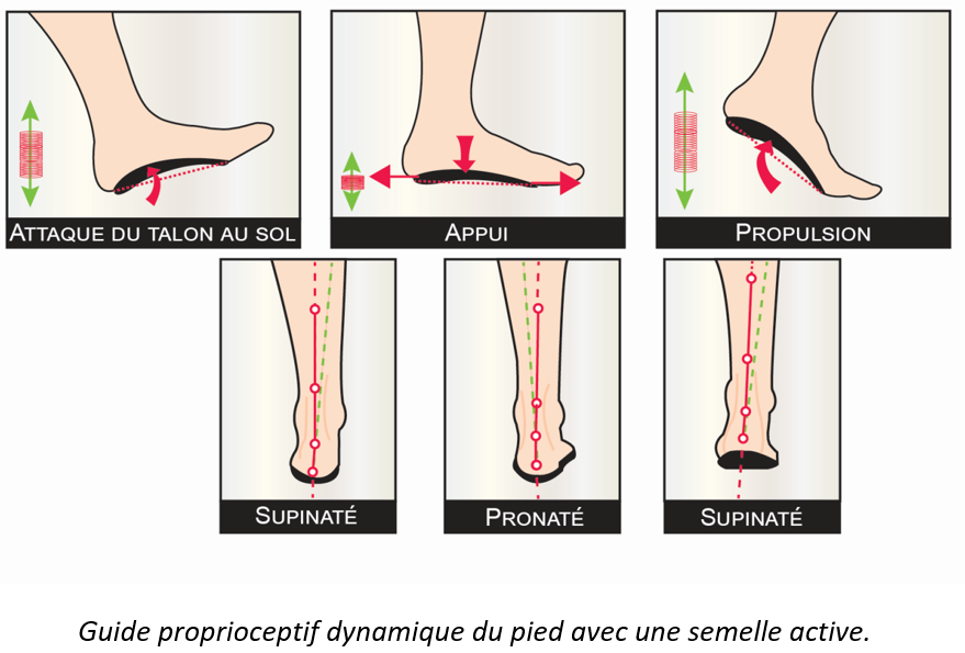 Semelle pour discount corriger la pronation